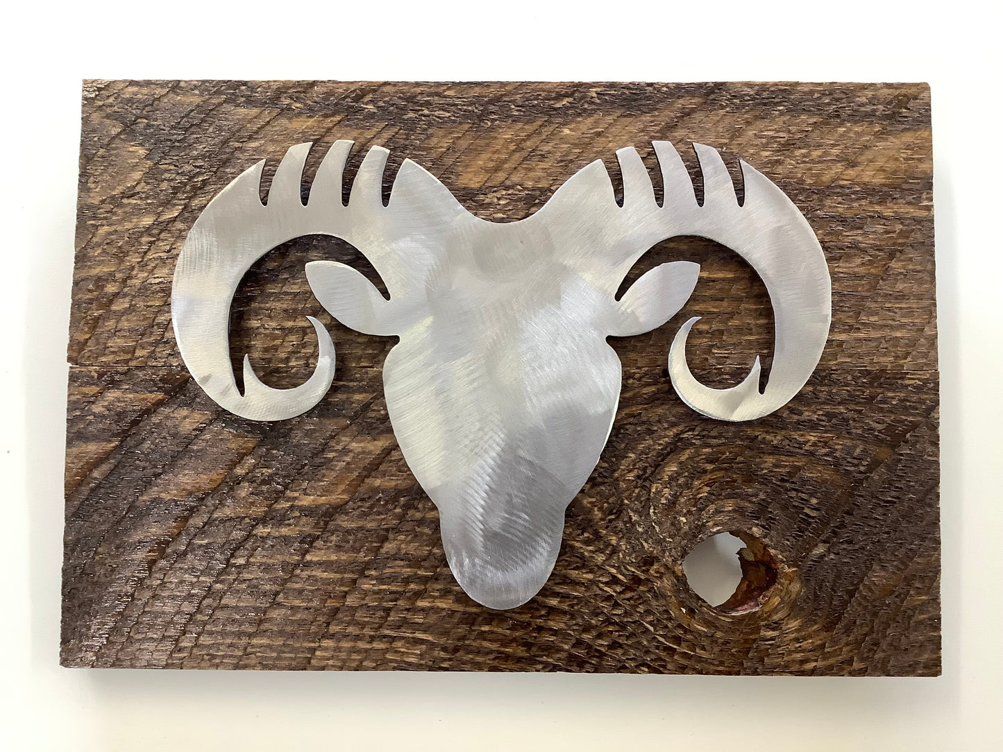 Wildlife Wall Art