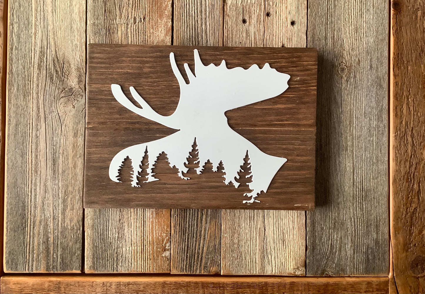 Wildlife Wall Art